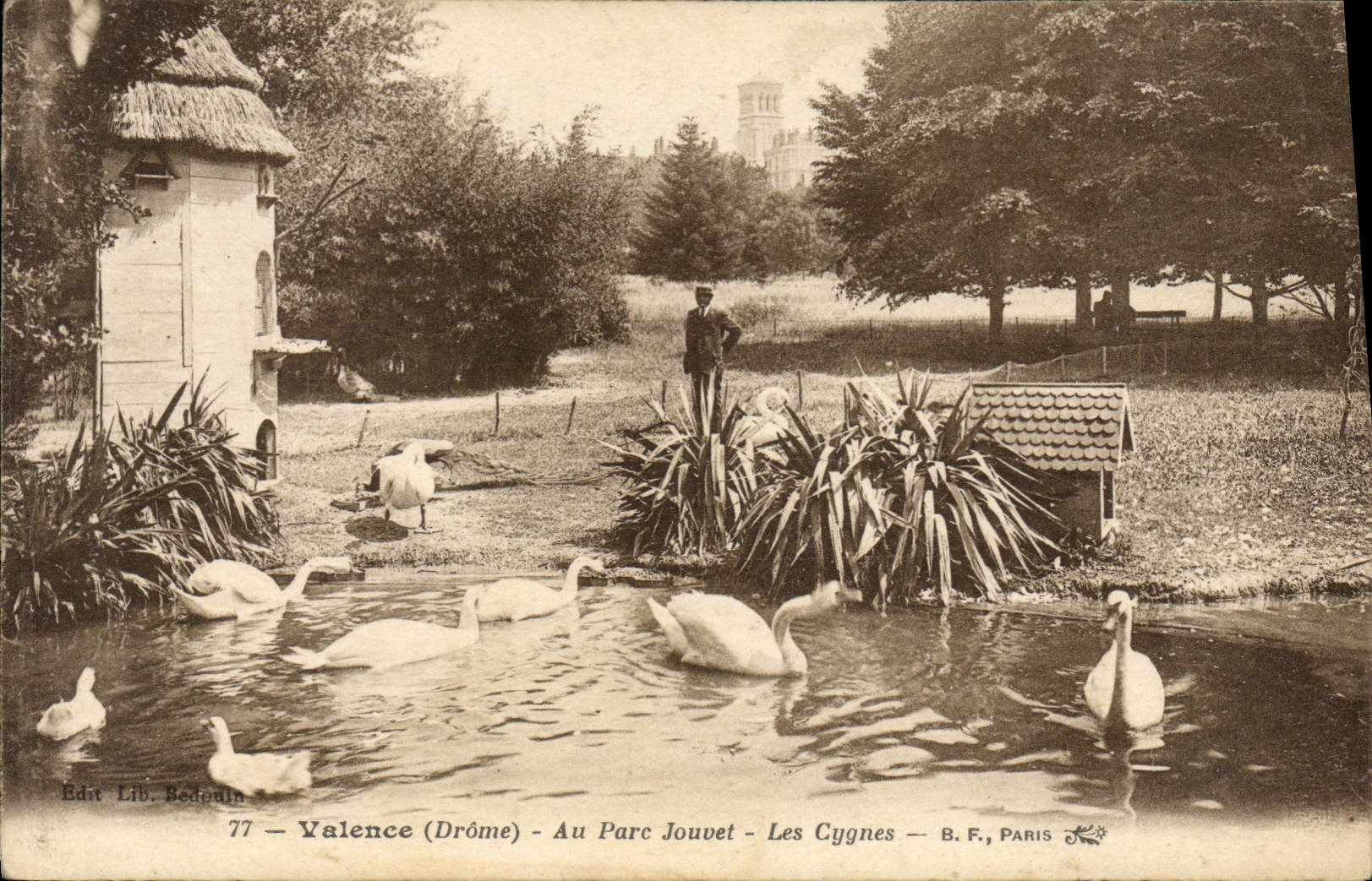 CPA Valence Drome Au Parc Jouvet les Cygnes 