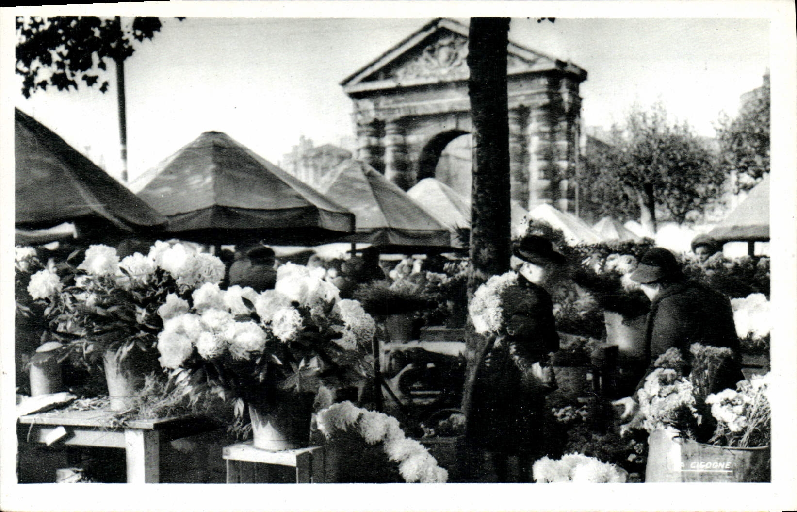 CPM Bordeaux Le Marche aux Fleurs Place de La Victoire