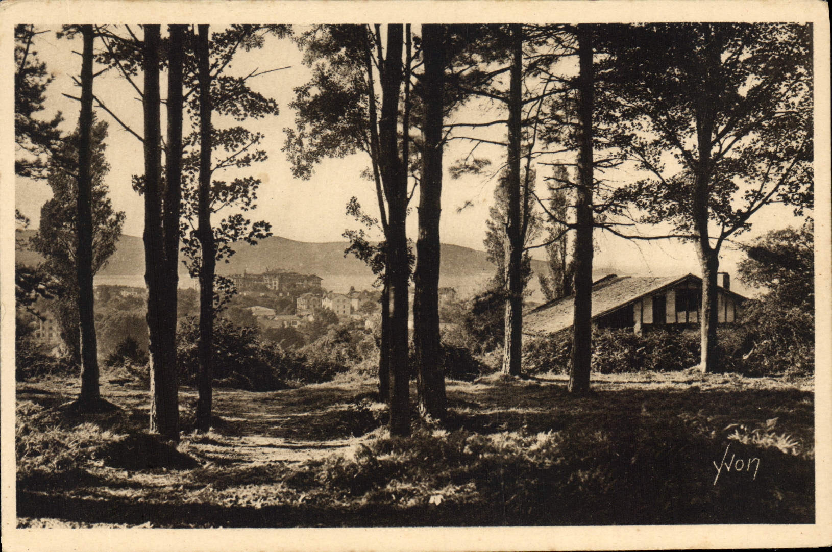CPA Hendaye(Basses Pyrenees) Cote Basque Le Bois d'Amour