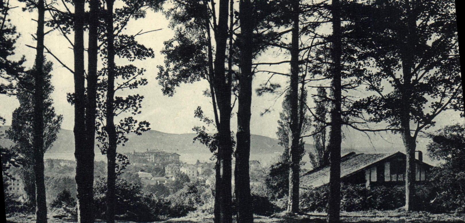 CPA Hendaye(Basses Pyrenees) Cote Basque Le Bois D'Amour
