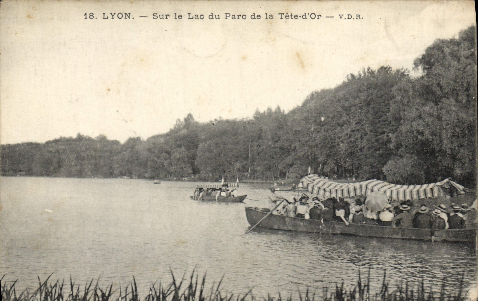 CPA Lyon Sur le Lac du Parc de la Tete d'Or