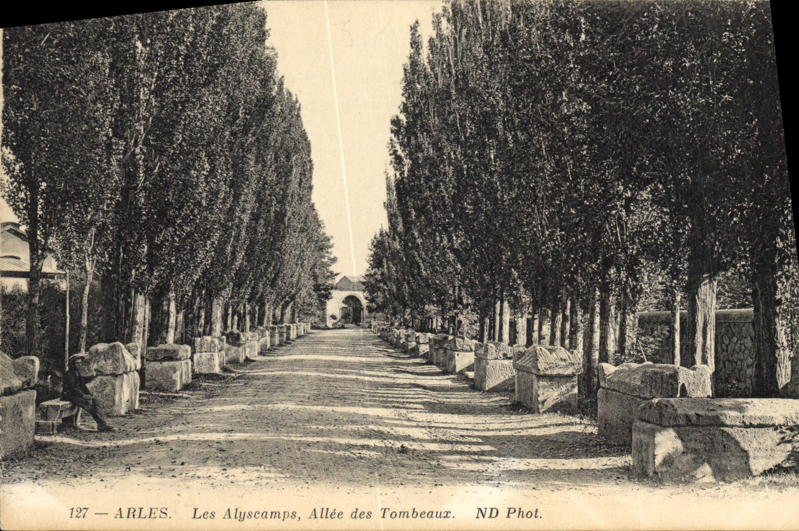 CPA Arles Les Alyscamps Allee des Tombeaux