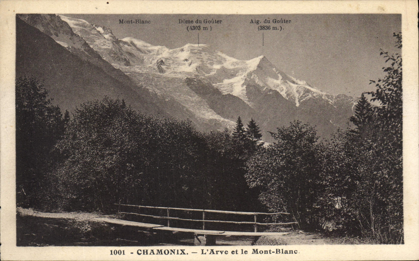 CPA Chamonix L'Arve et le Mont Blanc 