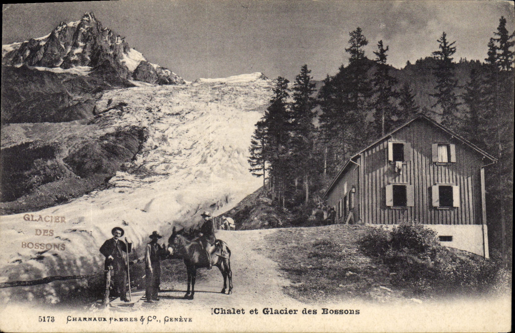 CPA Chalet et Glacier des Bossons Ane Mule