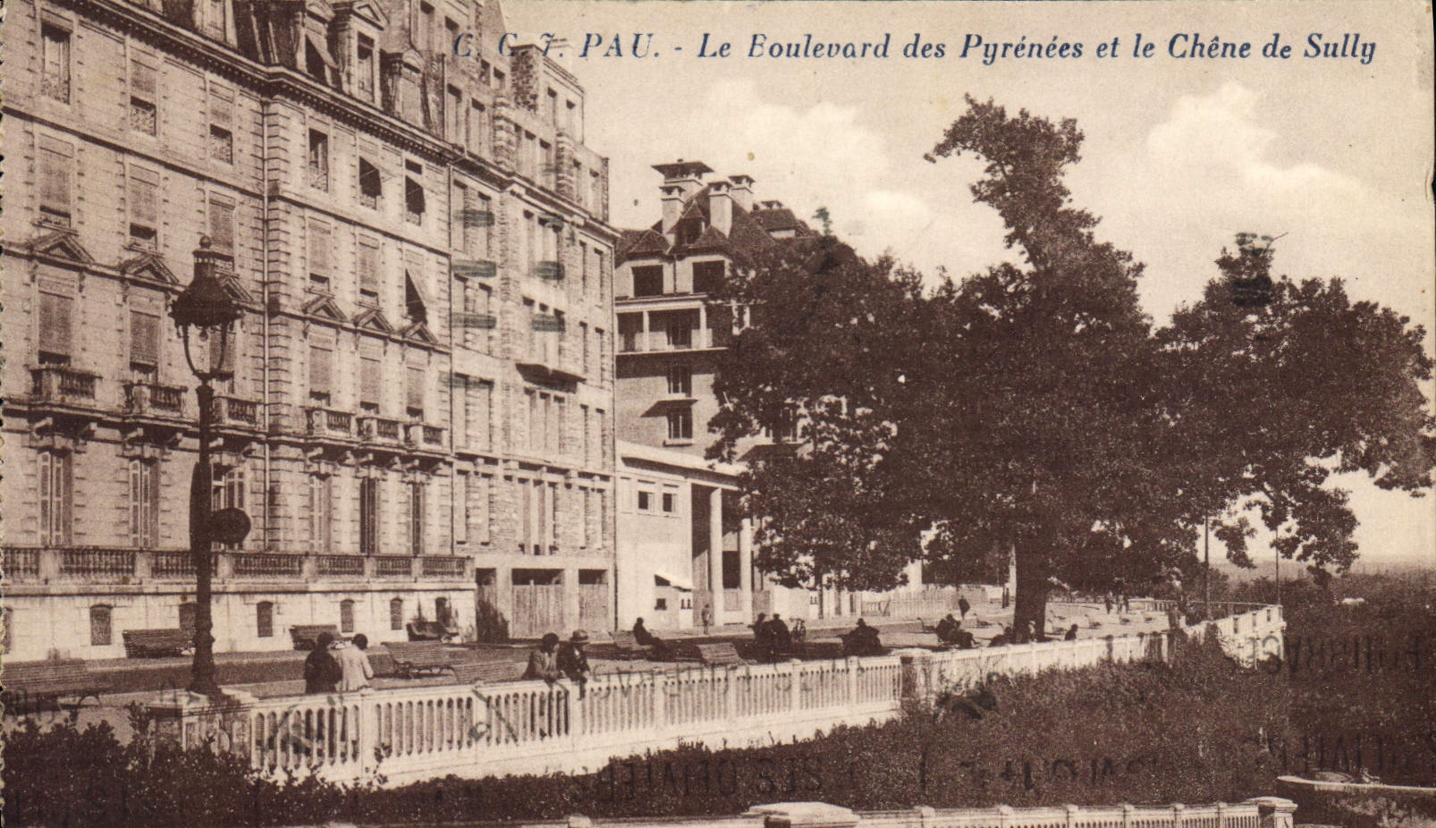 CPA Pau Le Boulevard des Pyrenees et le Chene de Sully