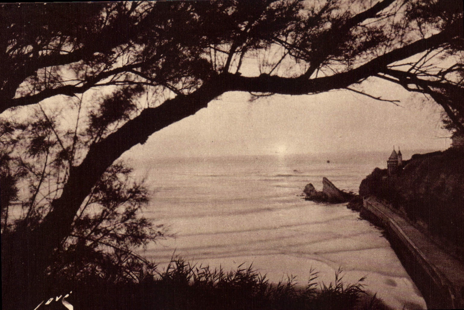 CPA Biarritz La Cote des Basques et la Villa Belza