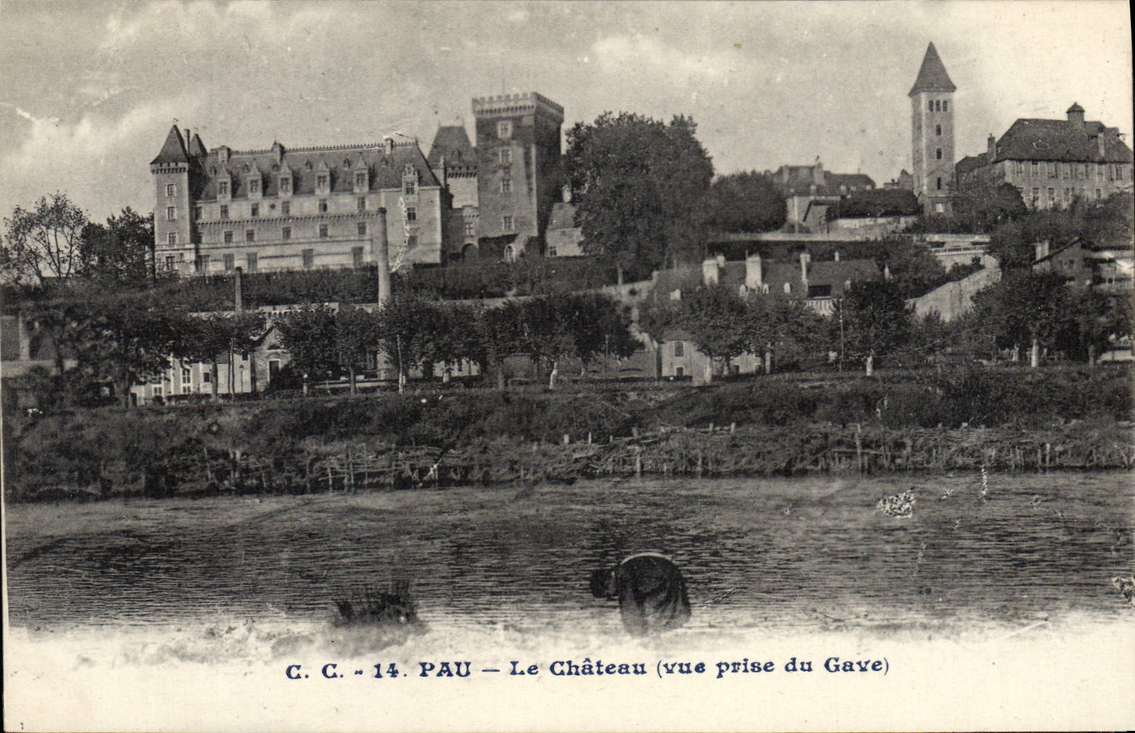 CPA Pau La Chateau vue prise du Gave 