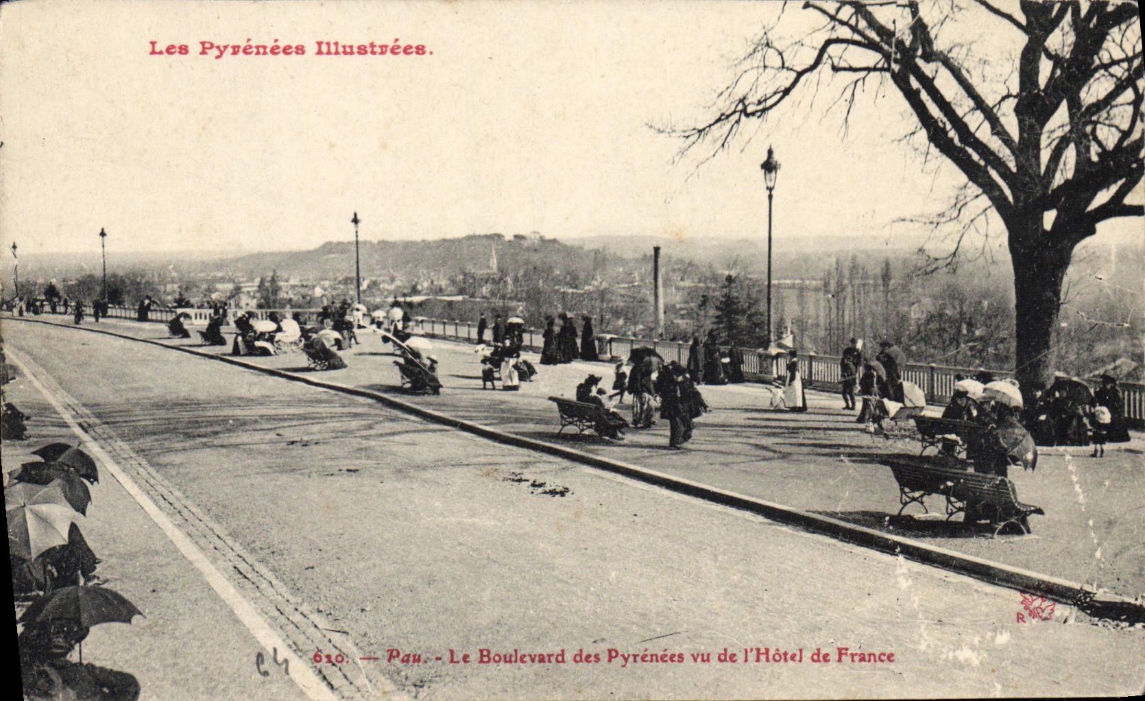 CPA Pau Le Boulevard des Pyrenees vu de l'Hotel de France 