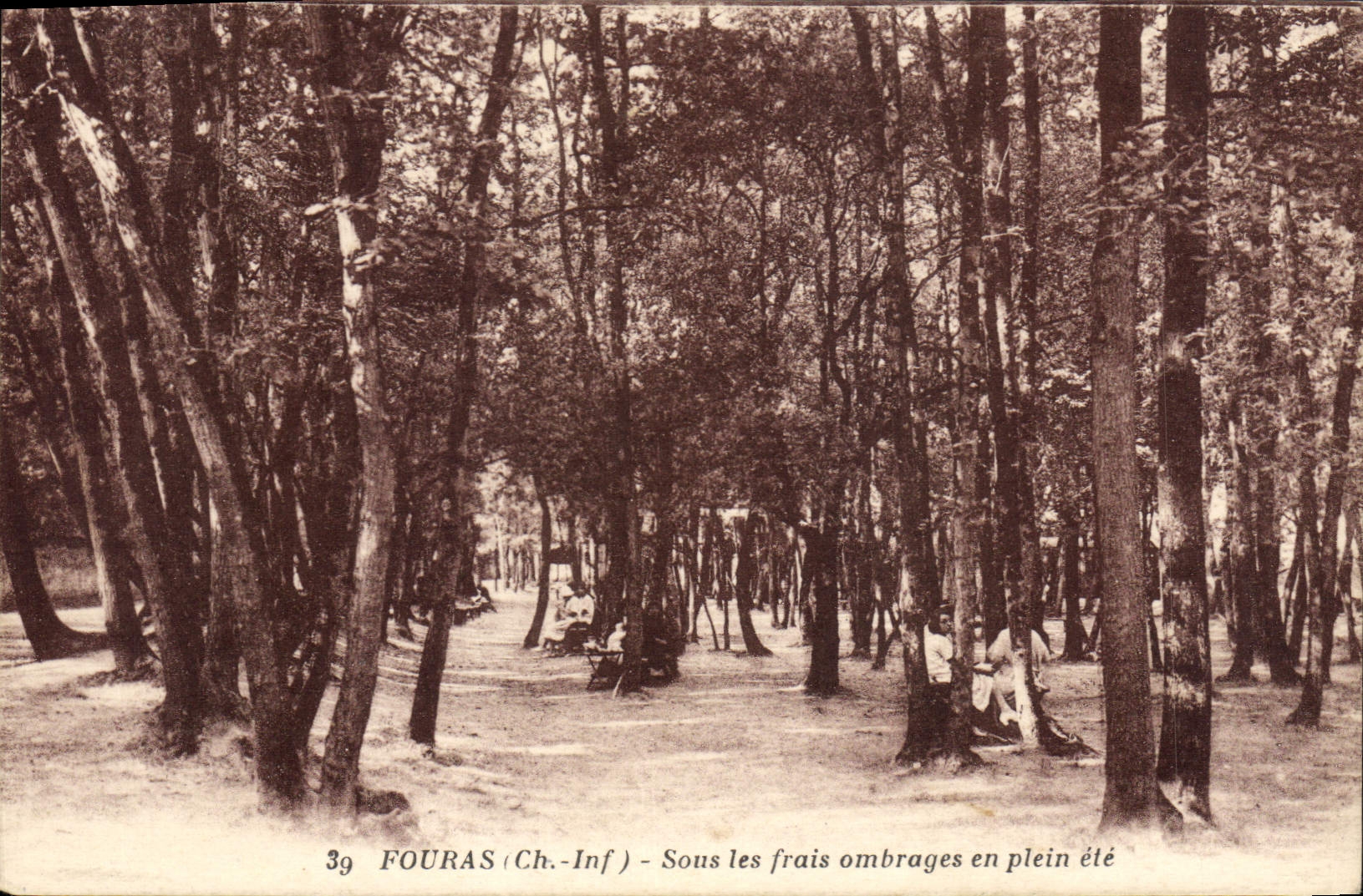 CPA Fouras Sons les frais ombrages en plein ete 