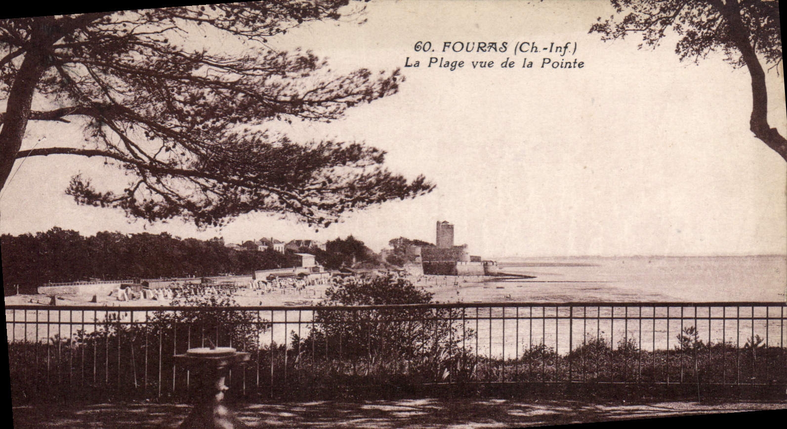 CPA Fouras La Plage vue de la Pointe