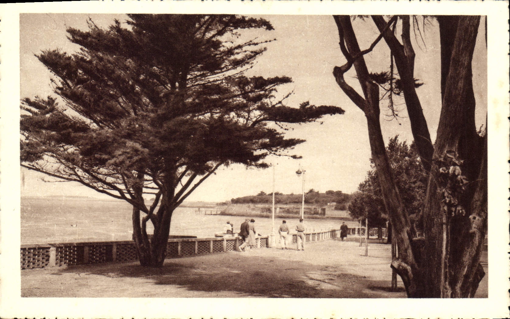 CPA Fouras les Bains Charente Promenade des Sapinettes dominant la grande plage 