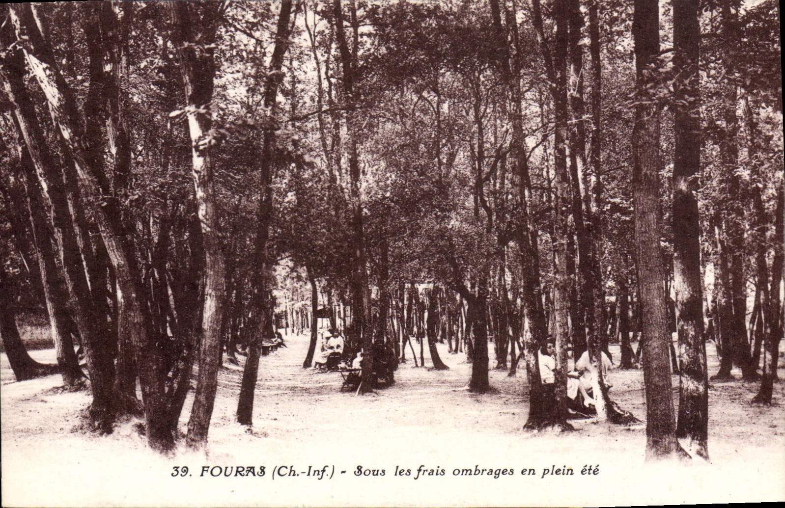 CPA Fouras Sous les frais ombrages en plein ete