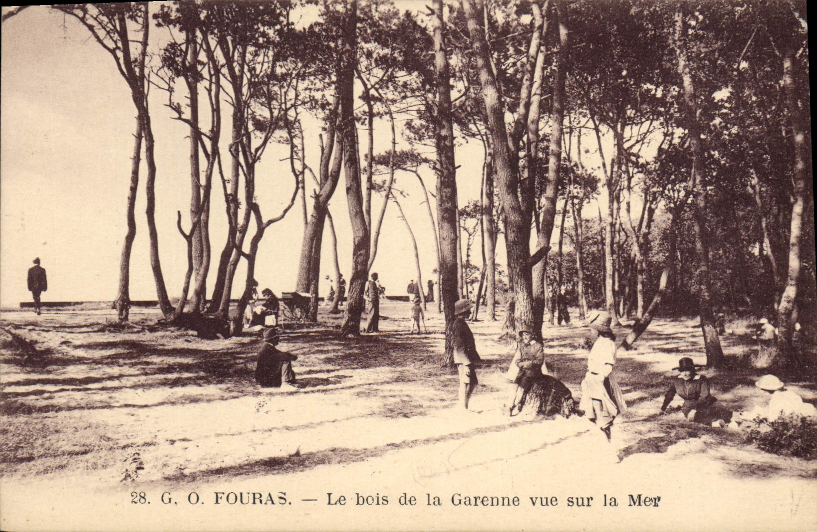CPA Fouras Le bois de la Garenne vue sur la Mer