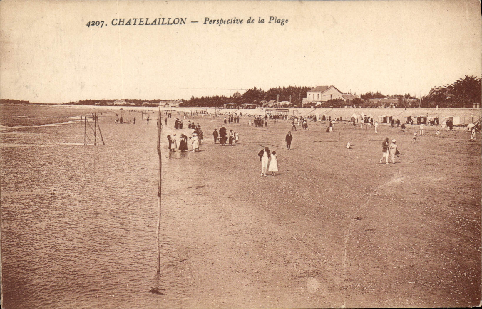 CPA Chatelaillon Perspective de la Plage