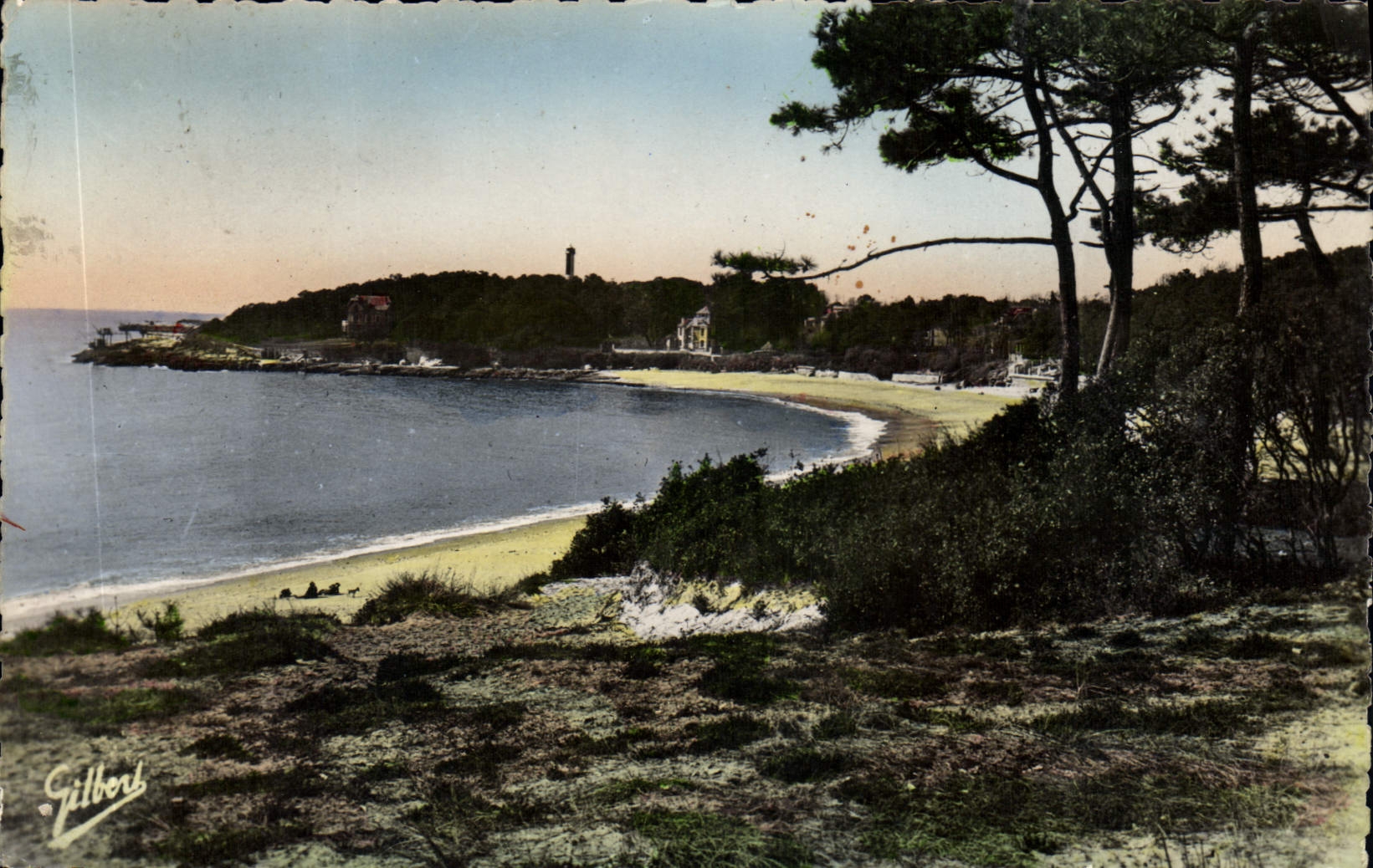 CPM Royan St Palais Pointe de Terre Negre 