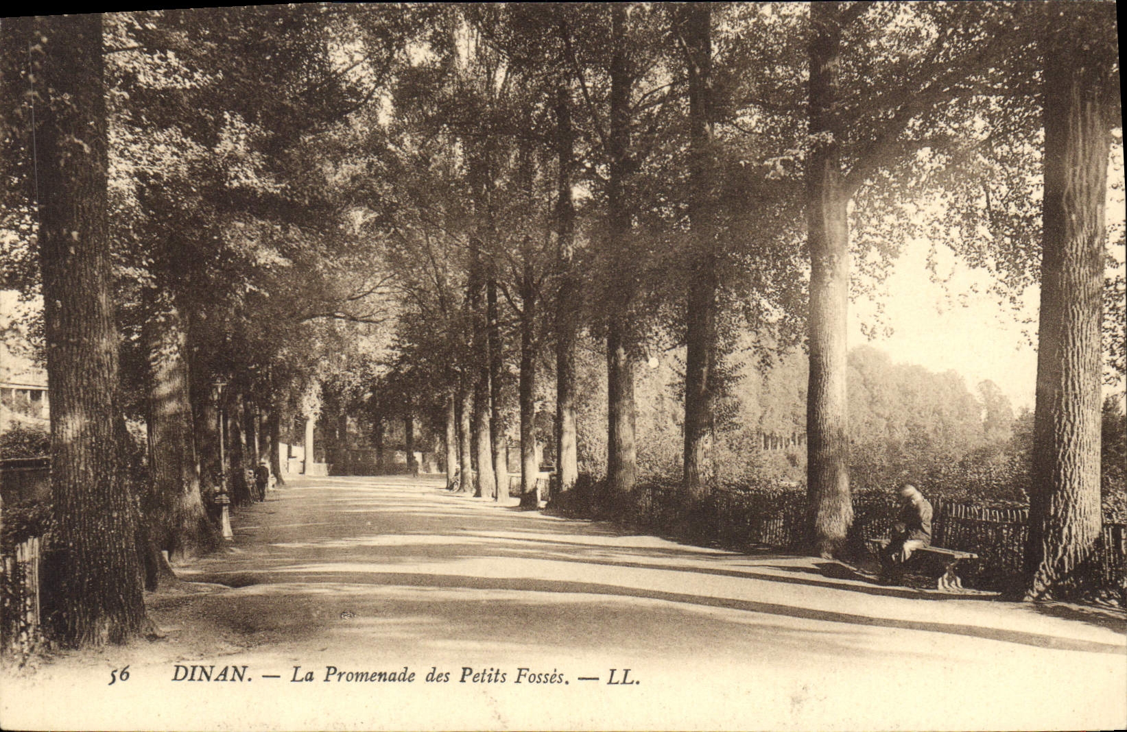 CPA Dinan La Promenade des Petits Fosses 