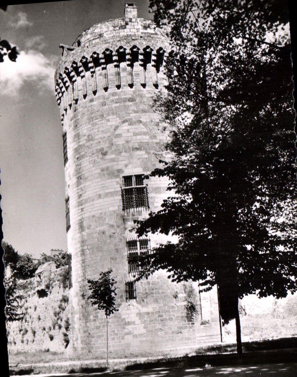 CPM Dinan Le Donjon du Chateau de la Duchesse Anne
