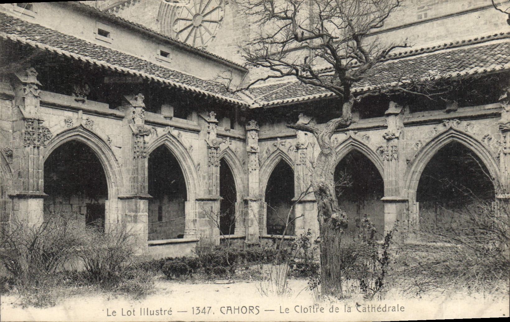 CPA Cahors Le Cloitre de la Cathedrale 