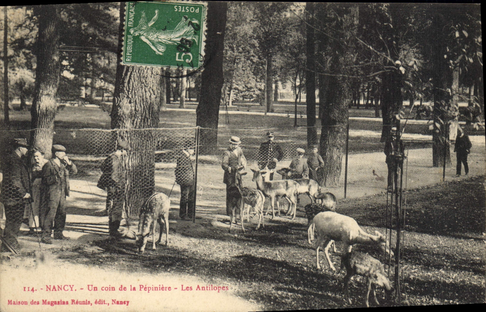 CPA Nancy Un coin de la Pepiniere Les antilopes Zoo