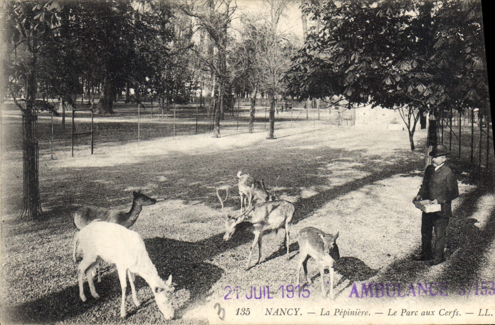 CPA Nancy La Pepiniere Le Parc aux Cerfs 