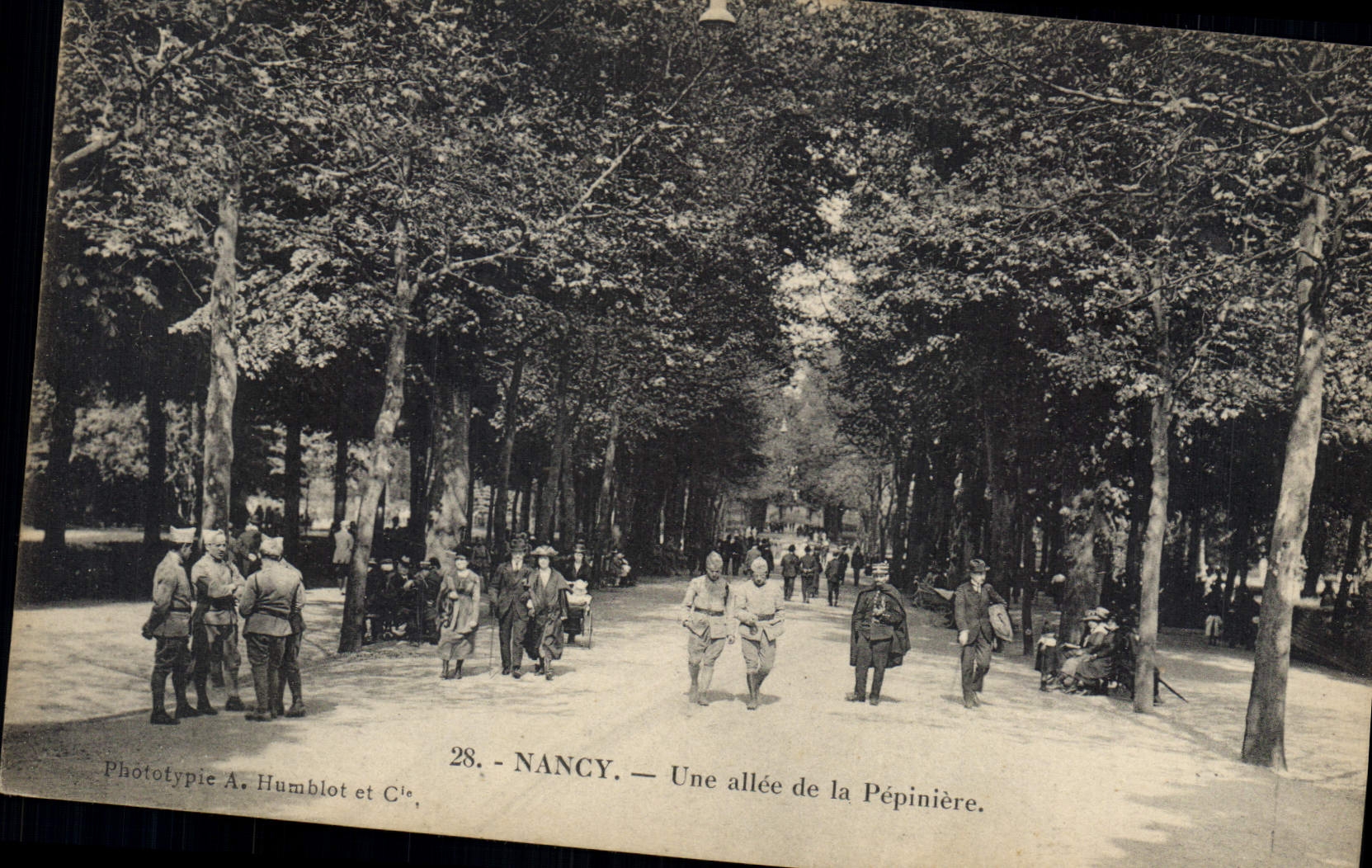 CPA Nancy Une allee de la Pepiniere 