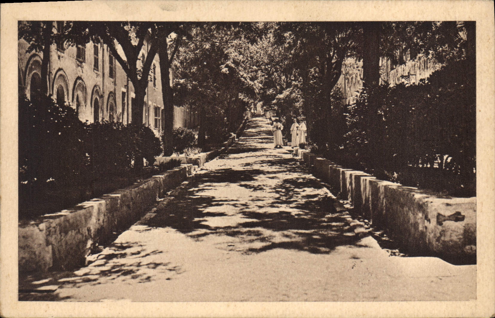 CPA St Michel de Frigolet Dans les allees de l'Abbaye 