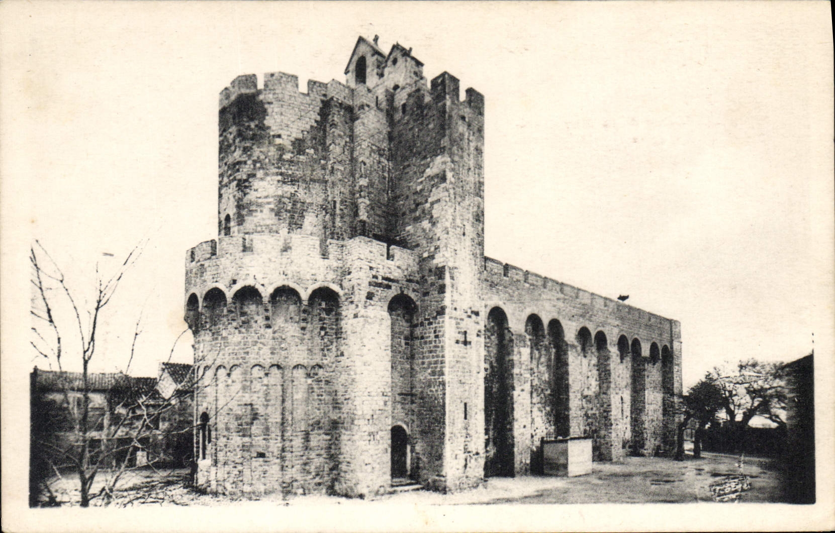 CPA Saintes Maries de la Mer 