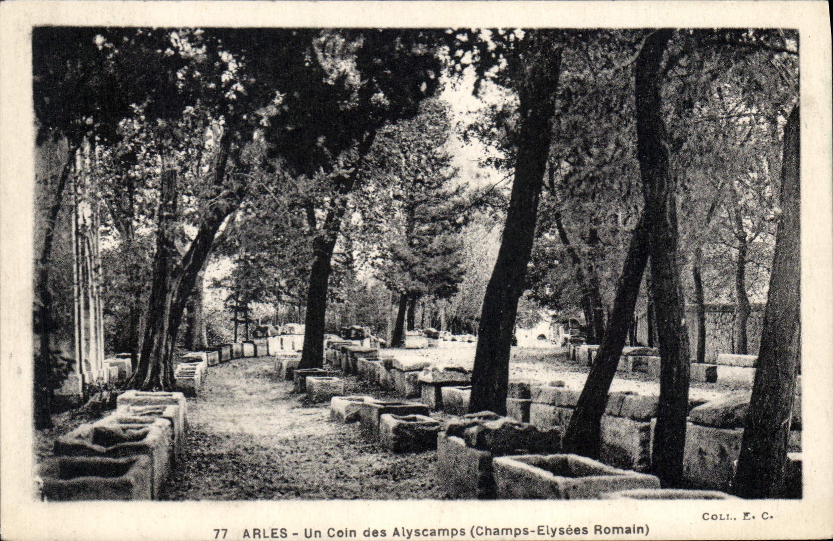 CPA Arles Un coin des Alysacamps 