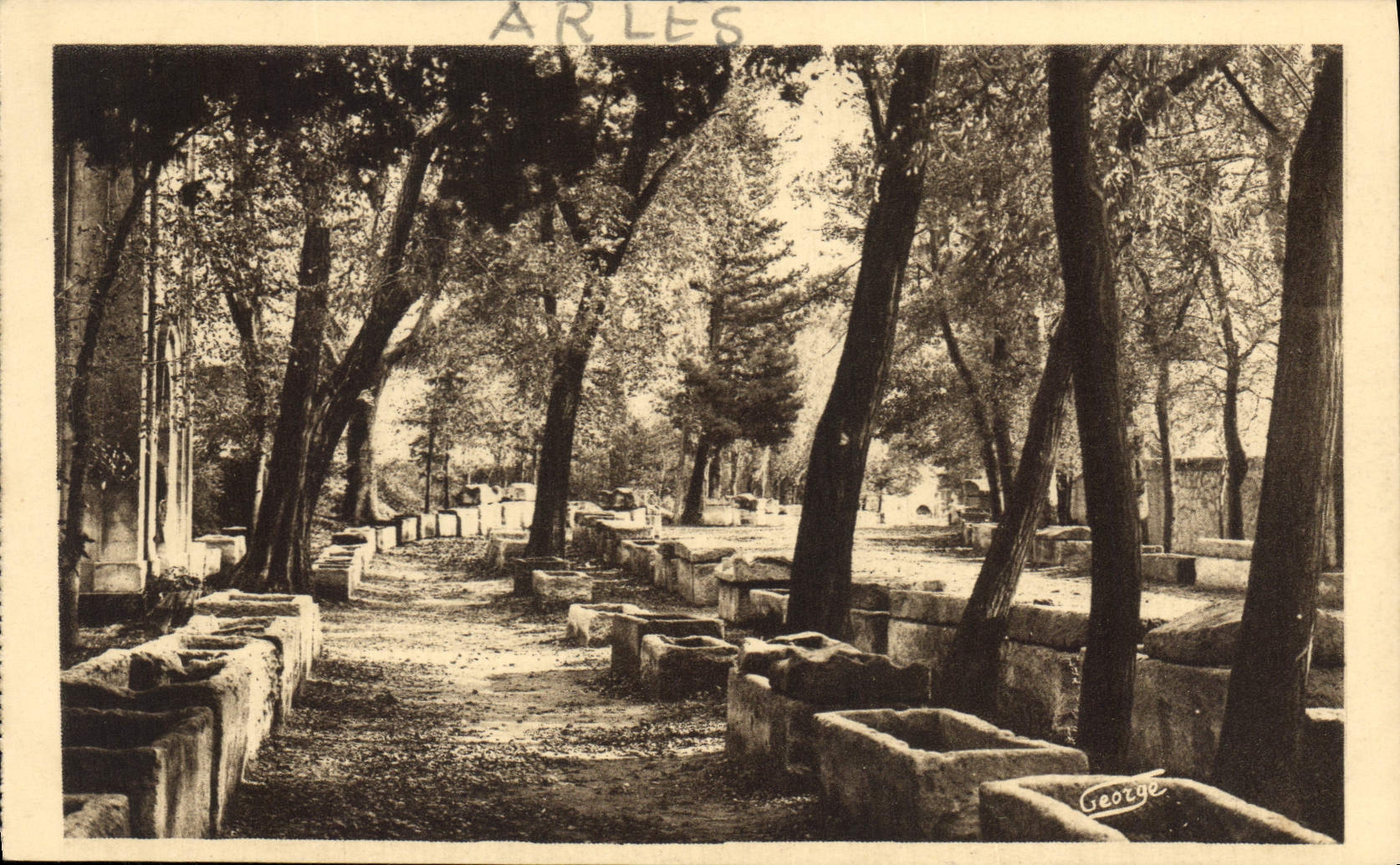 CPA Arles Les Alyscamps Champs Elysees Romains 