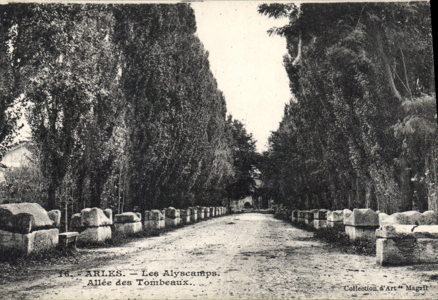 CPA Arles Les Alyscamps Allee des Tombeaux 