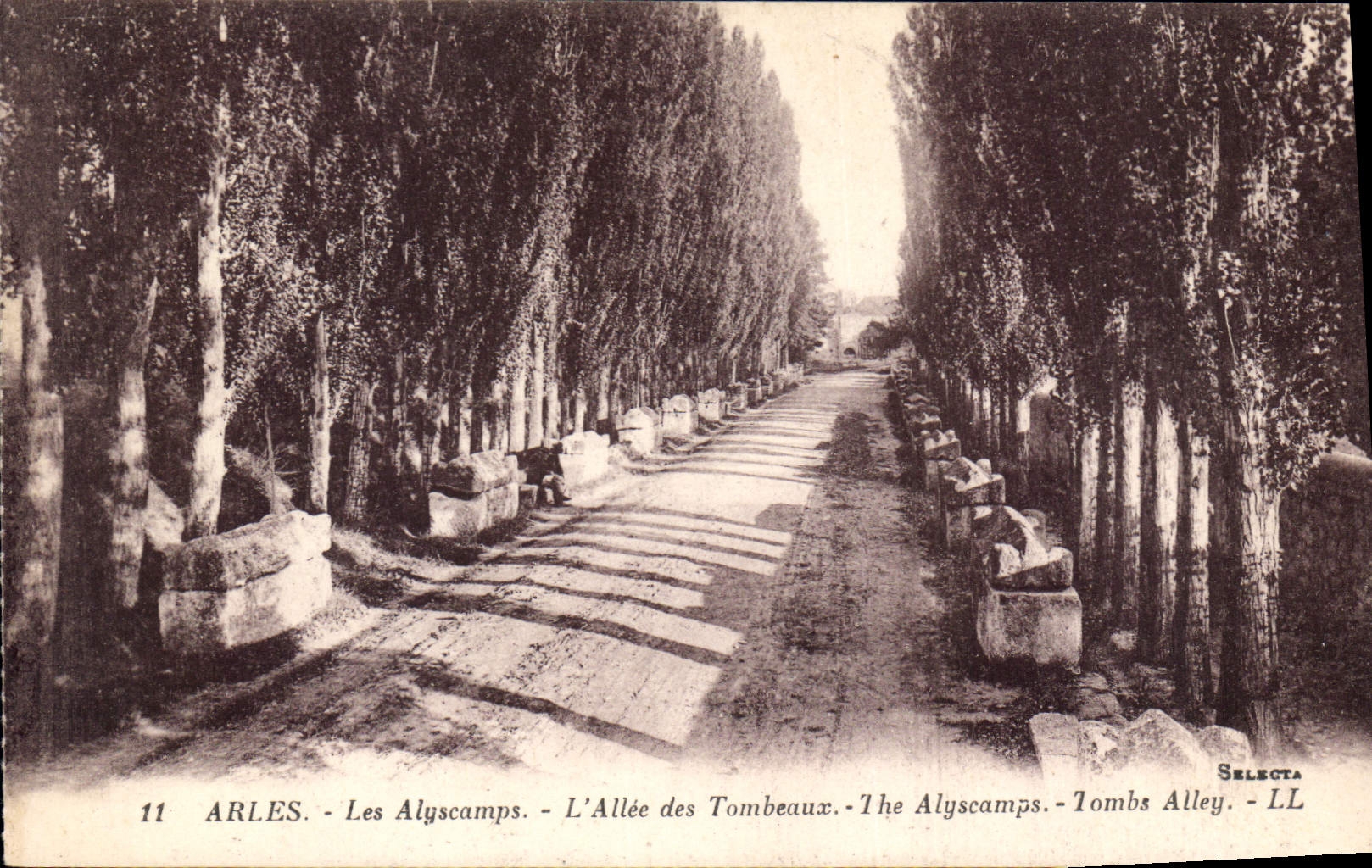 CPA Arles Les Alyscamps L'Allee des Tombeaux 