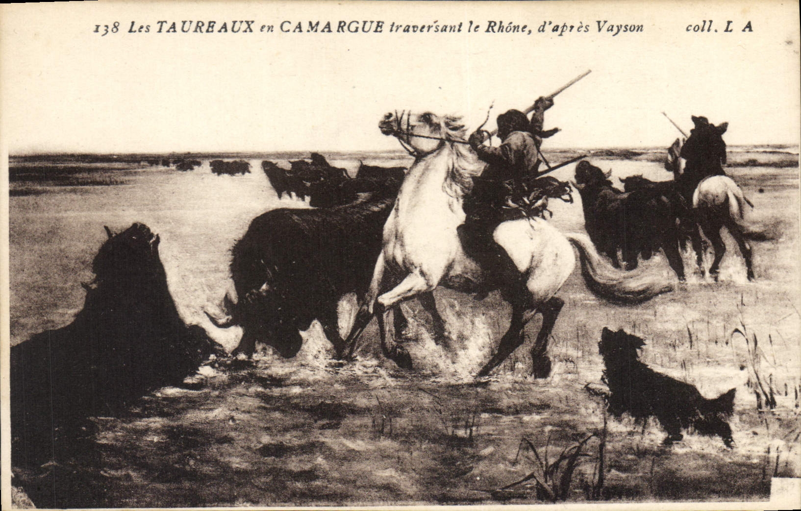 CPA Les Taureaux en Camargue 