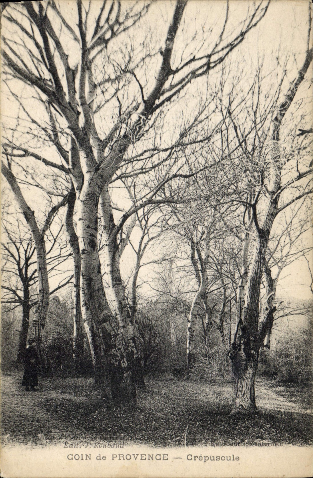 CPA Coin de Provence Crepuscule 