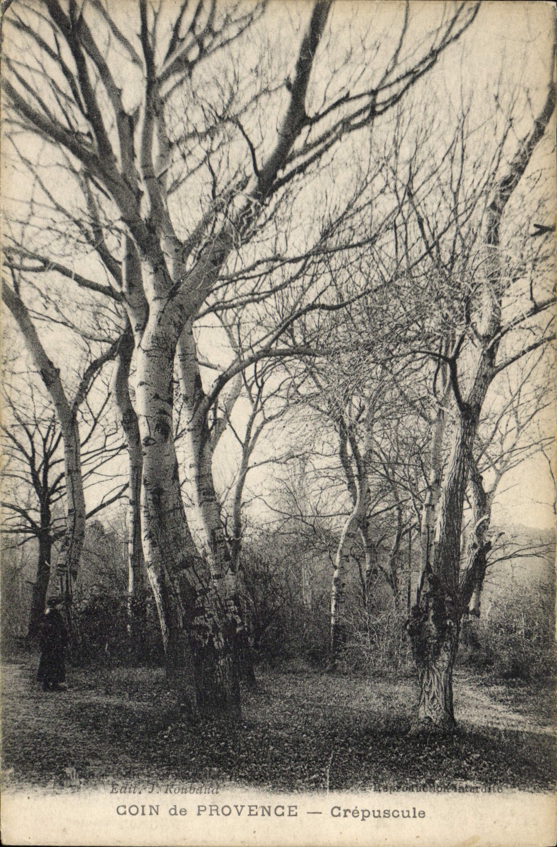 CPA Coin de Provence Crepuscule