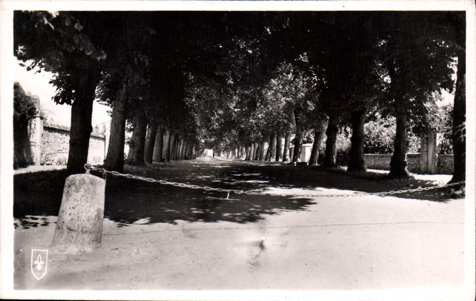 CPA Beaugency Loiret Le Grand Mail 