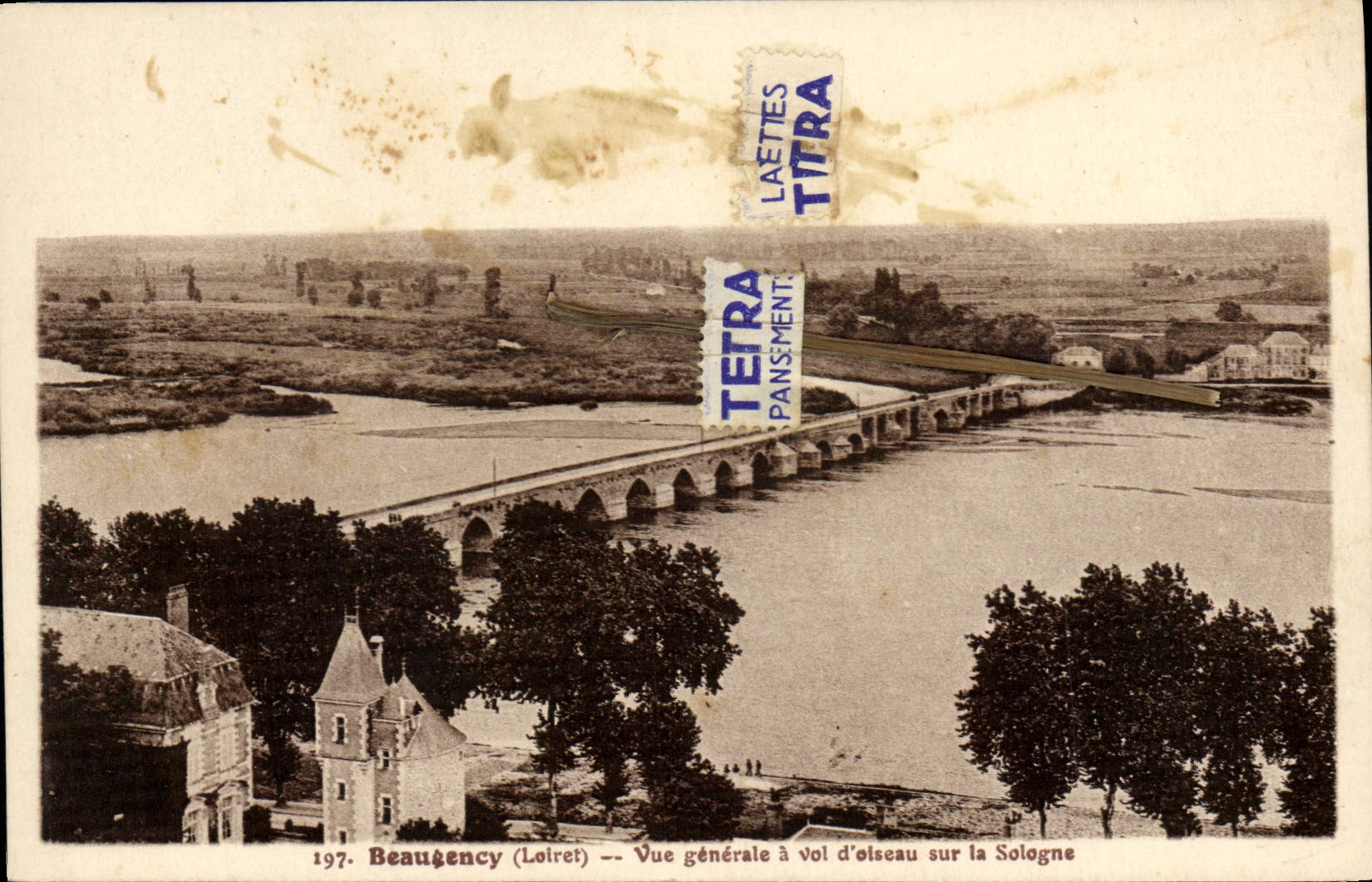 CPA Beaugency Loiret Vue generale a vol d'oiseau sur la Sologne 