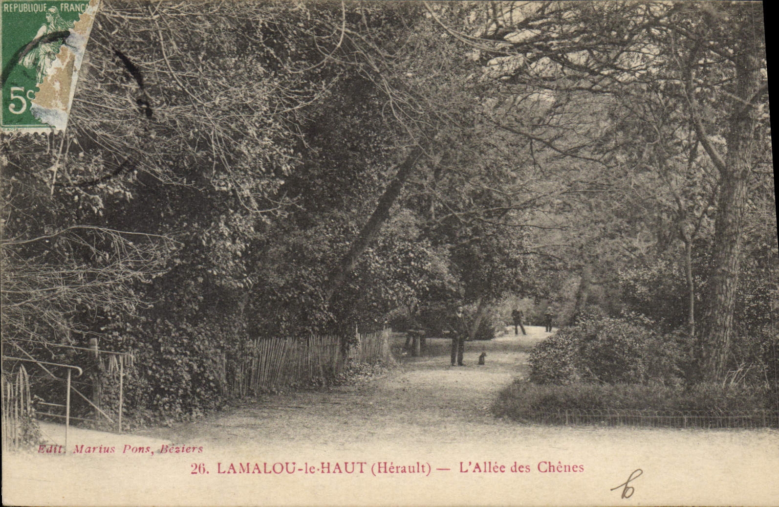 CPA Lamalou le Haut Herault L'Allee des Chenes 