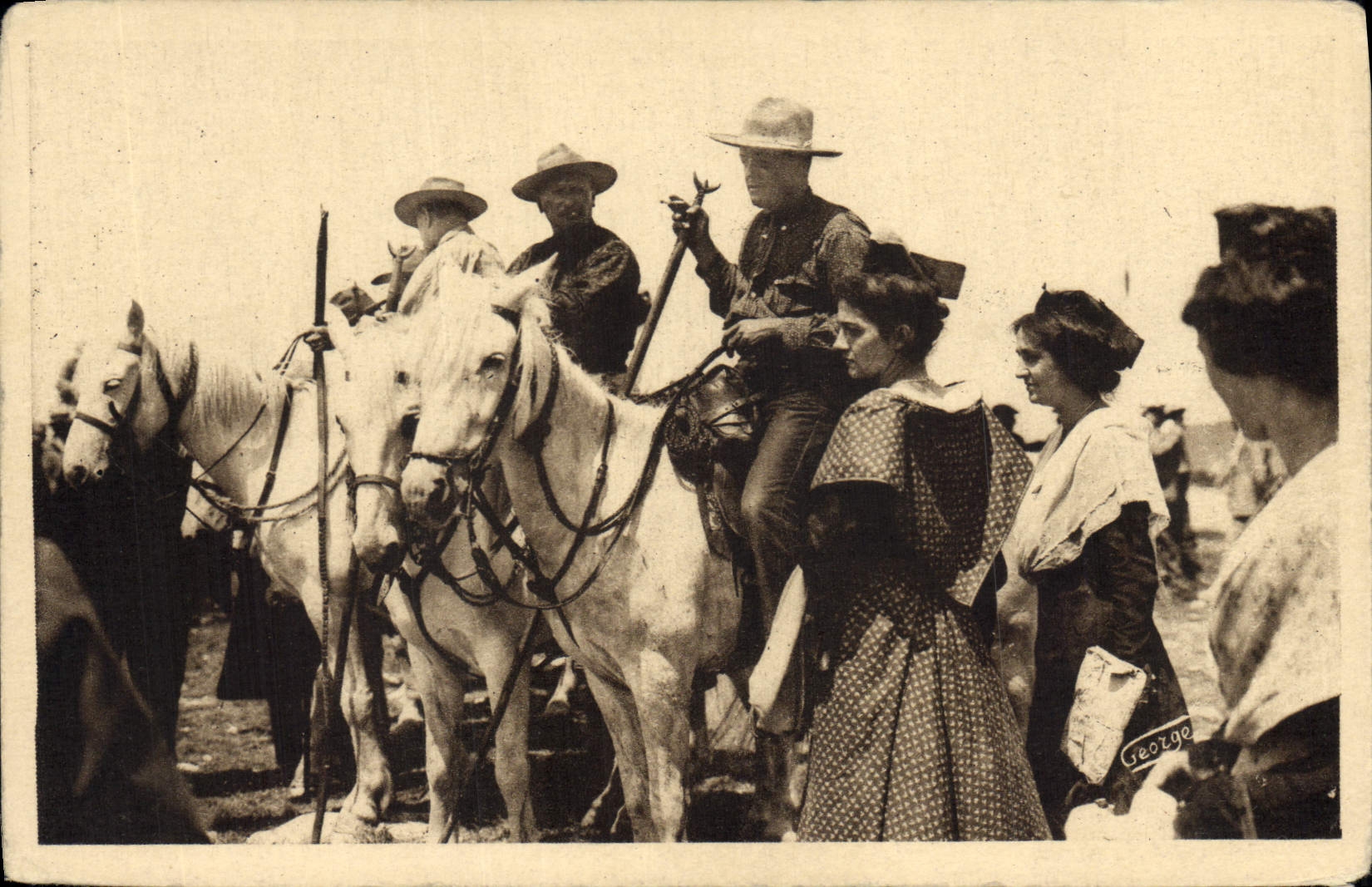 CPA En Provence Les gardians de Camargues montes sur leurs cavales blanches Cheval Folklore
