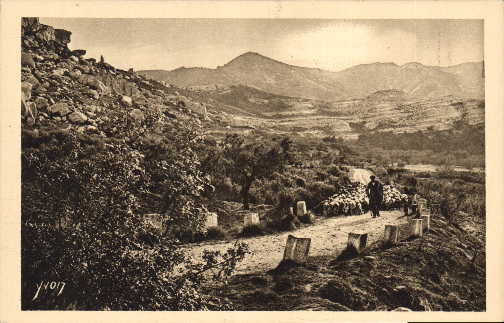 CPA LA DOUCE FRANCE Paysages et pierres de Provence Sur la route de Saint REmy aux Baux
