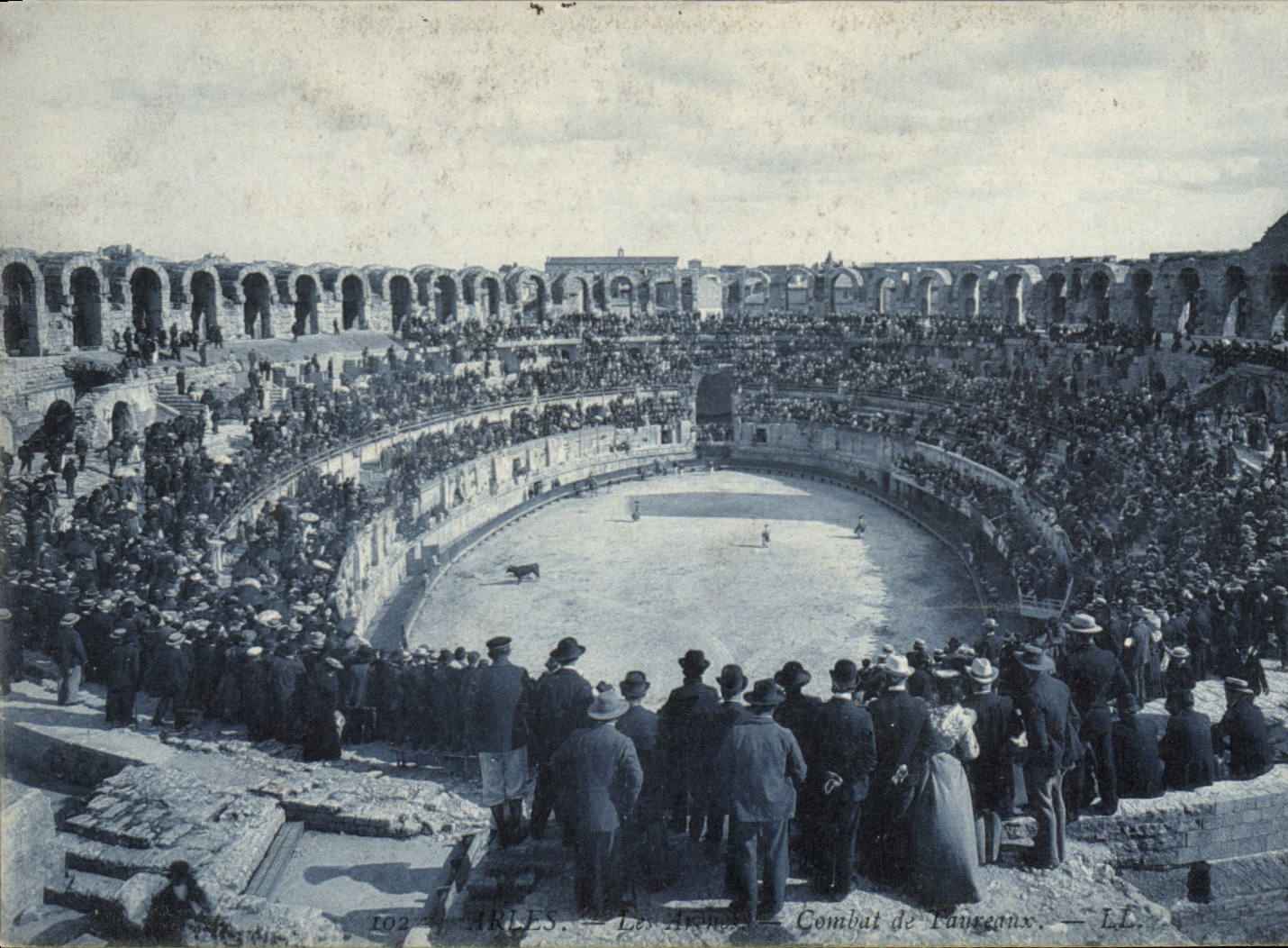 CPA Arles les Arenes Combat de Taureaux 