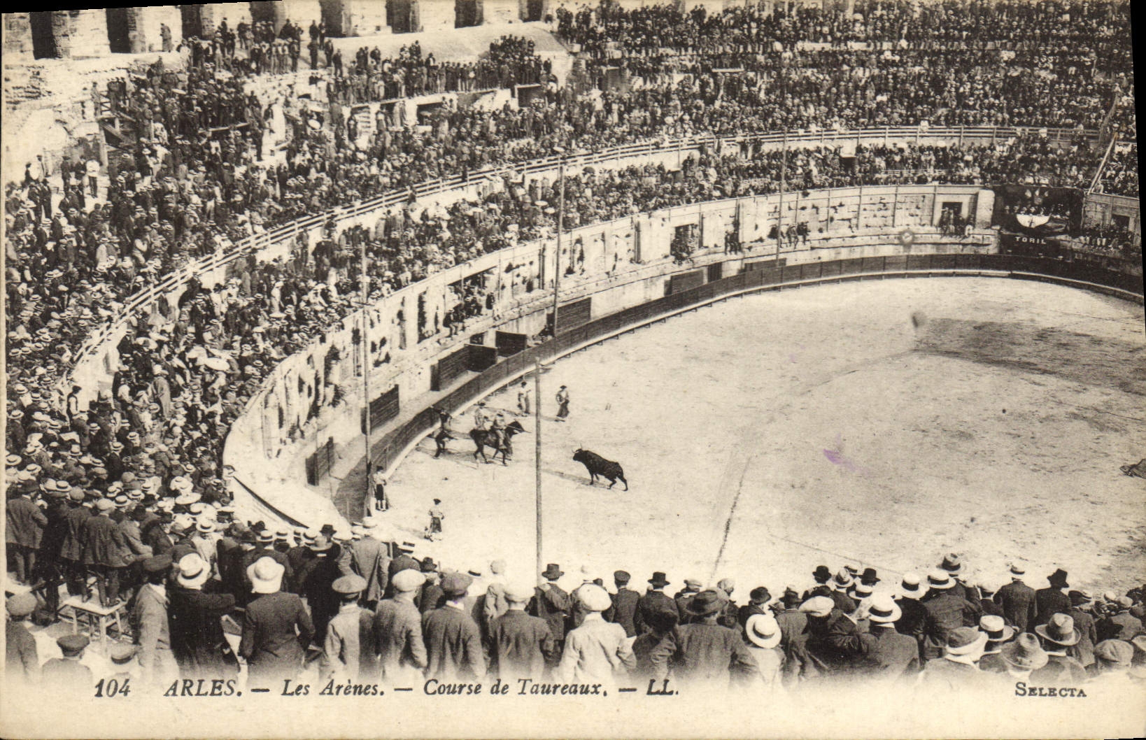 CPA Arles les Arenes Course de Taureaux 