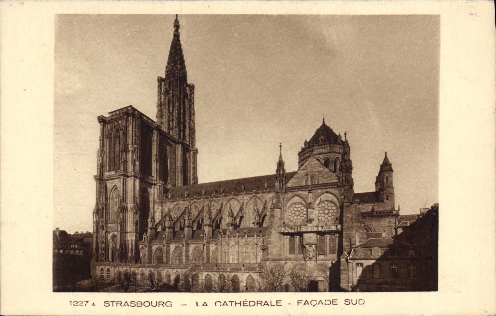 CPA STRASBOURG lA CATHEDRALE FACADE SUD