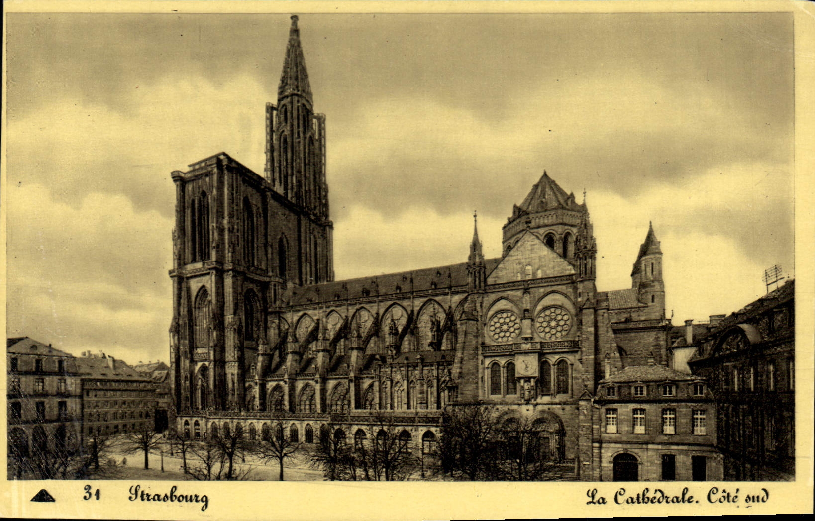 CPA Strasbourg La Cathedrale Cole and