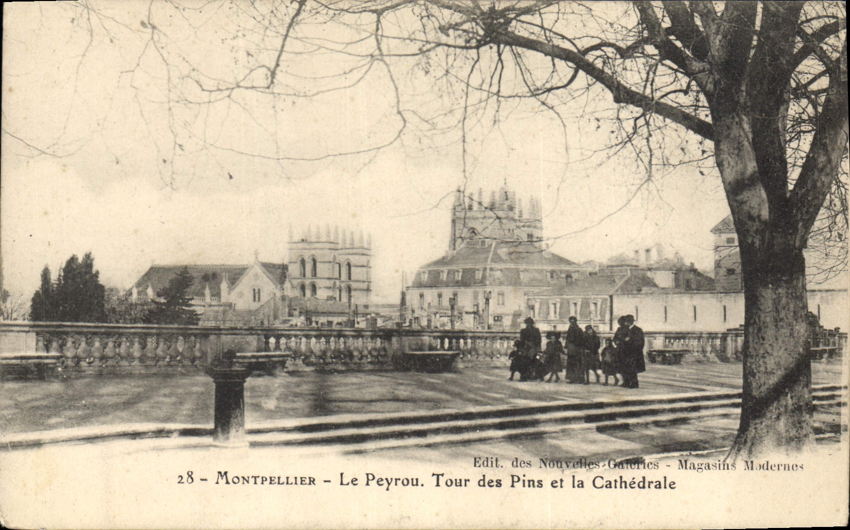 CPA MONTPELLIER Le Peyrou Tour des pins et la Cathedrale