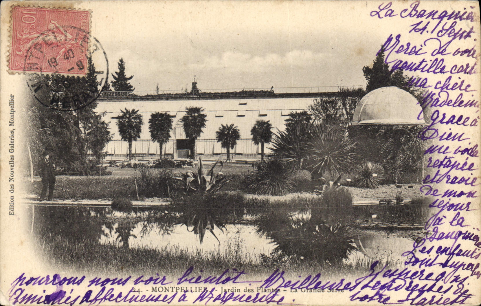 CPA MONTPELLIER Jardin des Plantes La grande serre