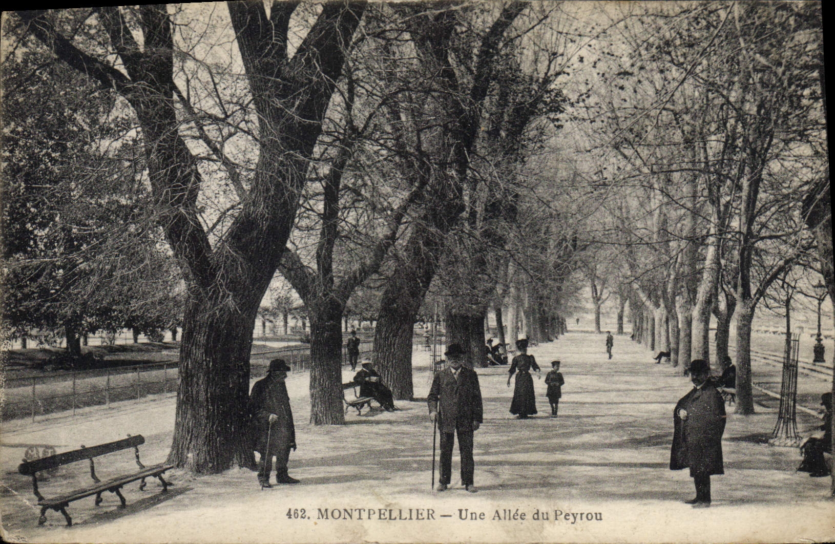 CPA MONTPELLIER Une Allee du Peyrou