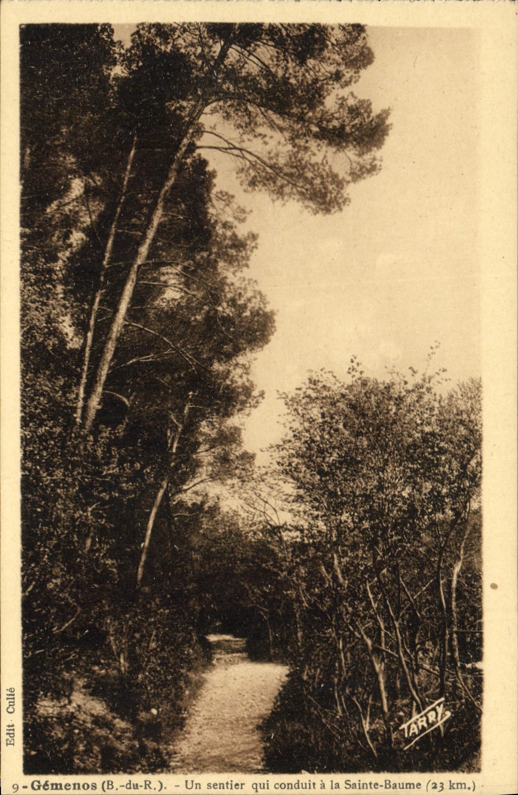 CPA Gemenos B du R Un sentier qui conduit a la Sainte Baume 