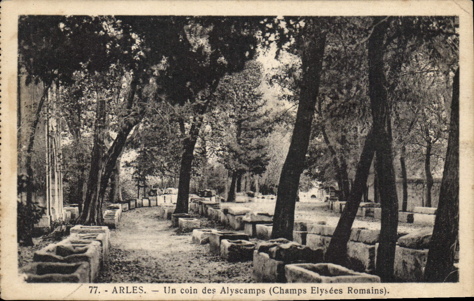 CPA Arles Un coin des Aliscamps 