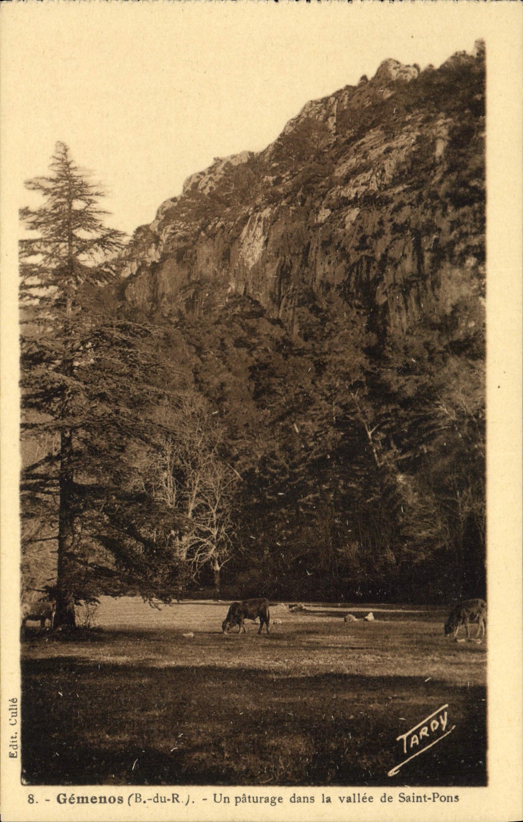 CPA Gemenos B de R Un Paturage dans la vallee de St Ponts 