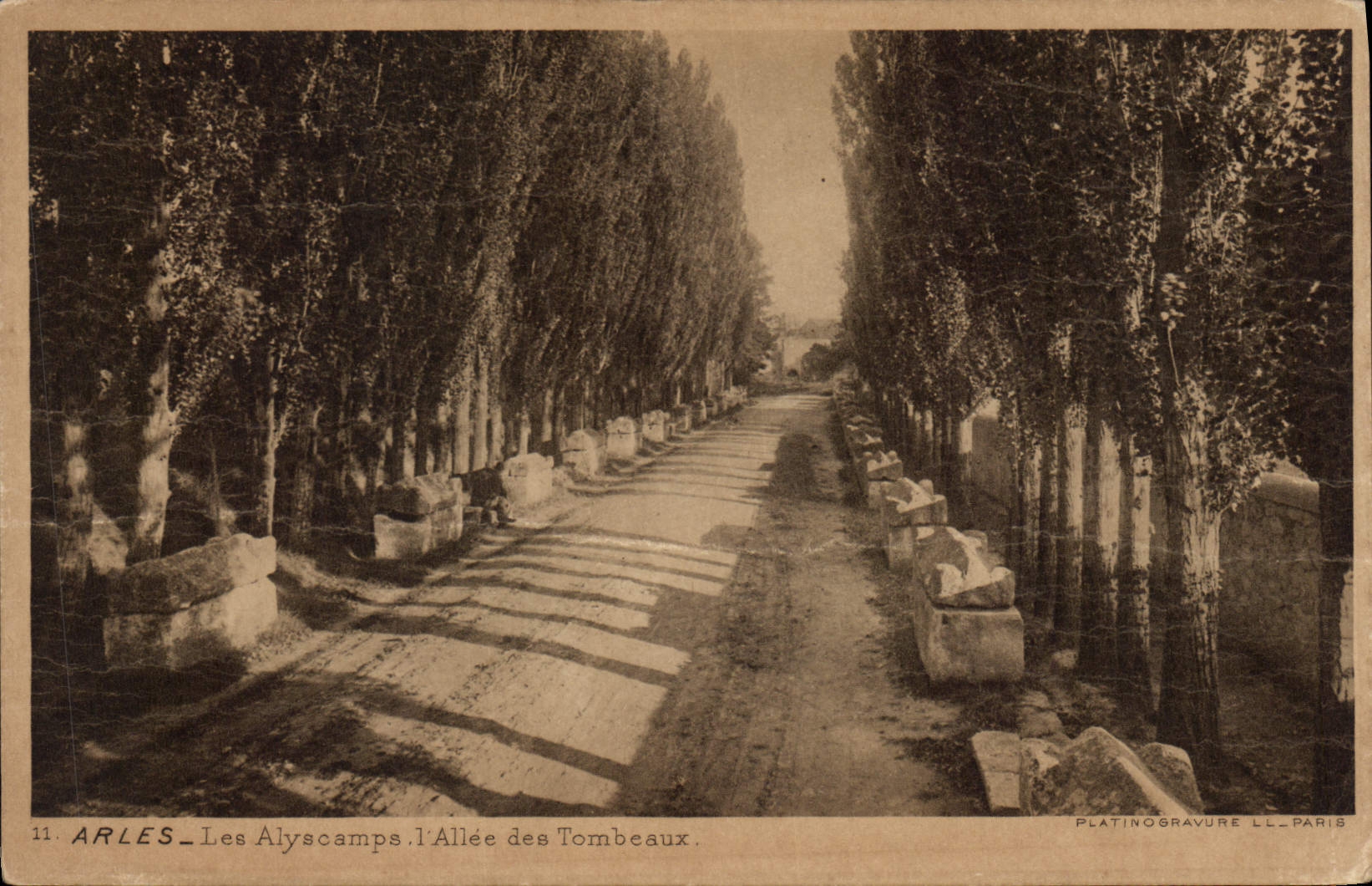 CPA Arles Les Aliscamps l'Allee des Tombeaux